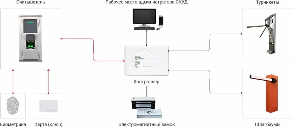 23.webp